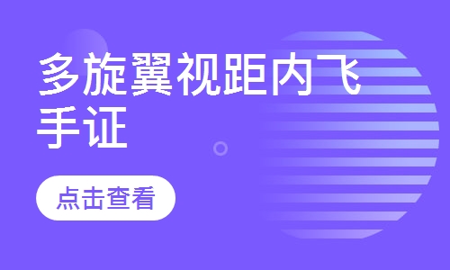 多旋翼视距内飞手证