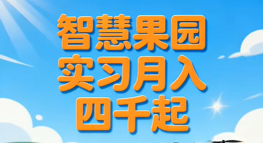 智慧果园实习月入四千起