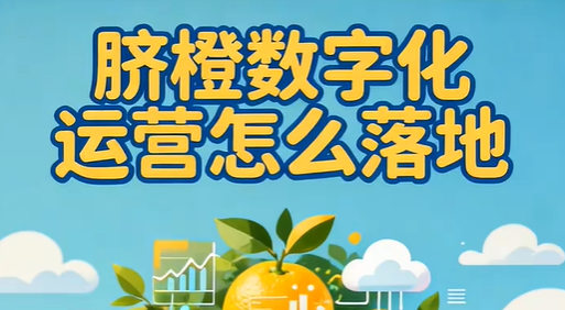 脐橙数字化运营怎么落地